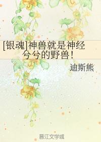 精灵宝可梦银魂神兽