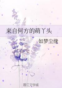 来自何方是什么意思