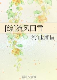 轻云蔽月流风回雪