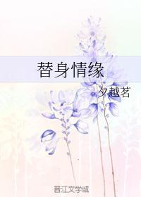 儿女传奇之替身情缘2