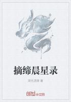 摘星辰的摘字怎么写