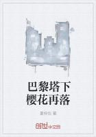 巴黎的塔是什么名字