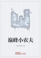 巅峰小农夫tⅹt