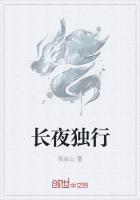 长夜的独行者pdf