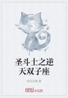 双子座叫什么名字圣斗士