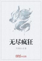 无尽疯狂的旅程pdf