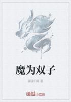 双子魔皇技能