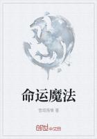 命运魔法箱附魔什么意思