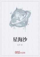 星光沙漠小金人