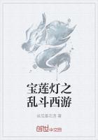 造梦西游4宝莲灯怎么得