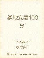 爹地宠妻100分霍司夜