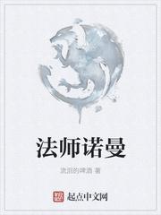 全职法师诺曼实力