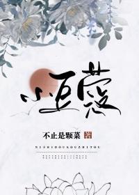 小豆蔻沈画和谁在一起了