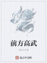 前方高能是什么意思