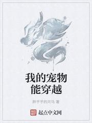 我的宠物能穿越顶点