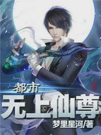 都市无上仙尊陈凡全文