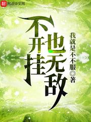 无敌开挂神器