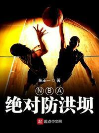 NBA绝对防洪坝TXT奇书网