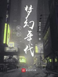 我的梦幻年代txt精校无错字