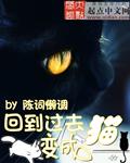 回到过去变成猫讲的什么