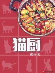 猫厨师做美食视频