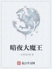 加油大魔王为什么被骂