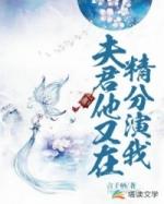 夫君他又在精分演我