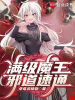 满级魔王，邪道速通