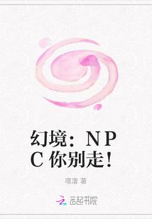 幻境：NPC你别走！