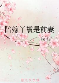 陪嫁丫鬟是前妻