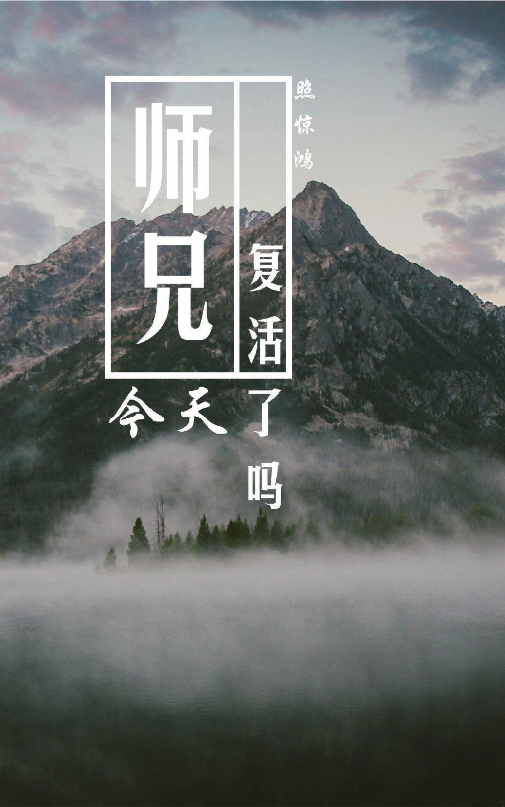 师兄今天复活了吗