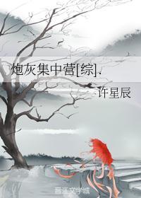 炮灰集中营[综].